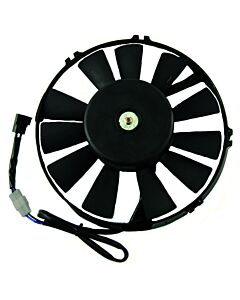 Fan Motor