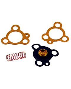 Membraan Zenith carburateur vervangen door nr 276309